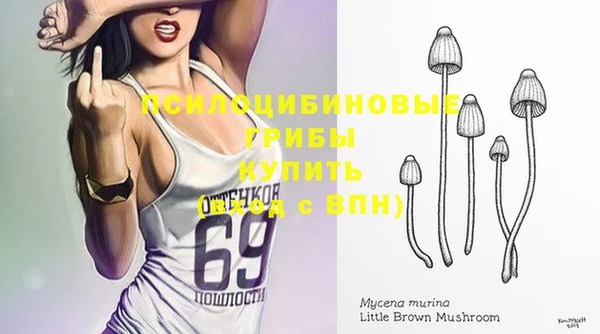 не бодяженный Арсеньев