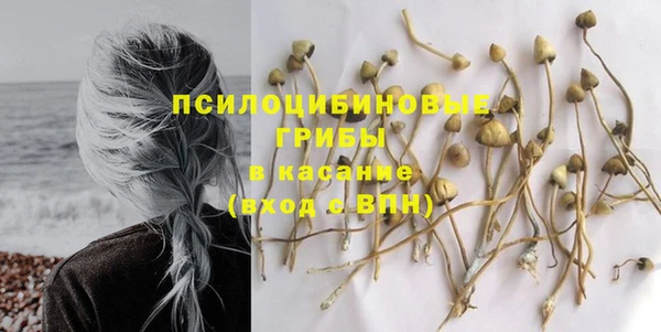 не бодяженный Арсеньев